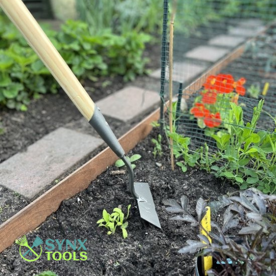 Les Meilleurs Outils de Jardinage pour Chaque Jardinier
