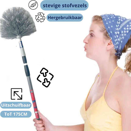 Ragebol grijs met telescoopsteel voor spinnenwebben verwijderen binnen en buiten