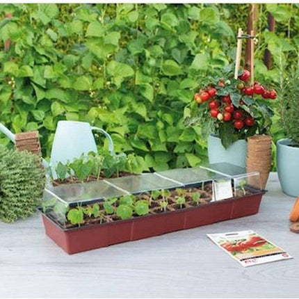 Serre de fenêtre SOGO + 30 pots en tourbe - Compacte