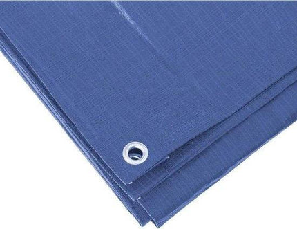 2x Bâches bleues 2x3m - Tapis de sol en polypropylène