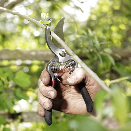 Synx Tools Couteau à joints en acier inoxydable + Spear & Jackson Set de sécateurs 2 pièces - Sécateur - Bec de perroquet - Set de cisailles de jardin - Grattoir à joints avec manche de 150 cm