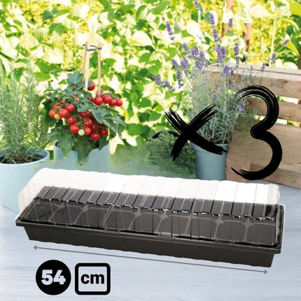 Kweekbak op vensterbank met kruiden en tomaten, 54 cm