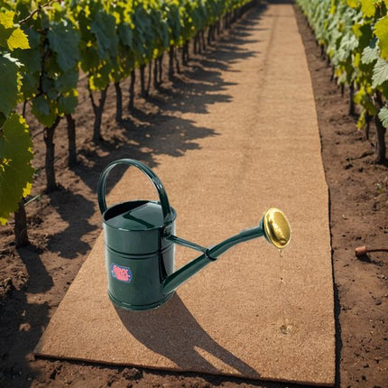 Groene gieter in wijngaard met druiven