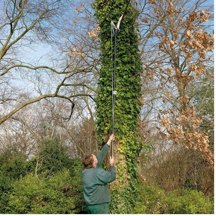 Spear & Jackson Scie télescopique pour arbres - Scie à branches - 10 ANS DE GARANTIE - Scie d'élagage pour arbres
