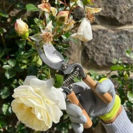 Tuinhandschoenen bij snoeien van rozenstruik