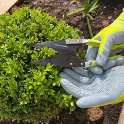 Tuinhandschoenen bij snoeien van struik