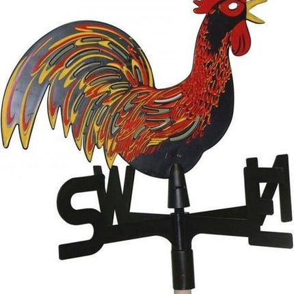 Windwijzer in kleur