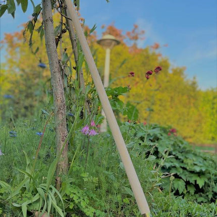 Synx Tools Brosses à joints - brosse en acier pour mauvaises herbes - Désherbeurs - Avec support et manche 160 cm